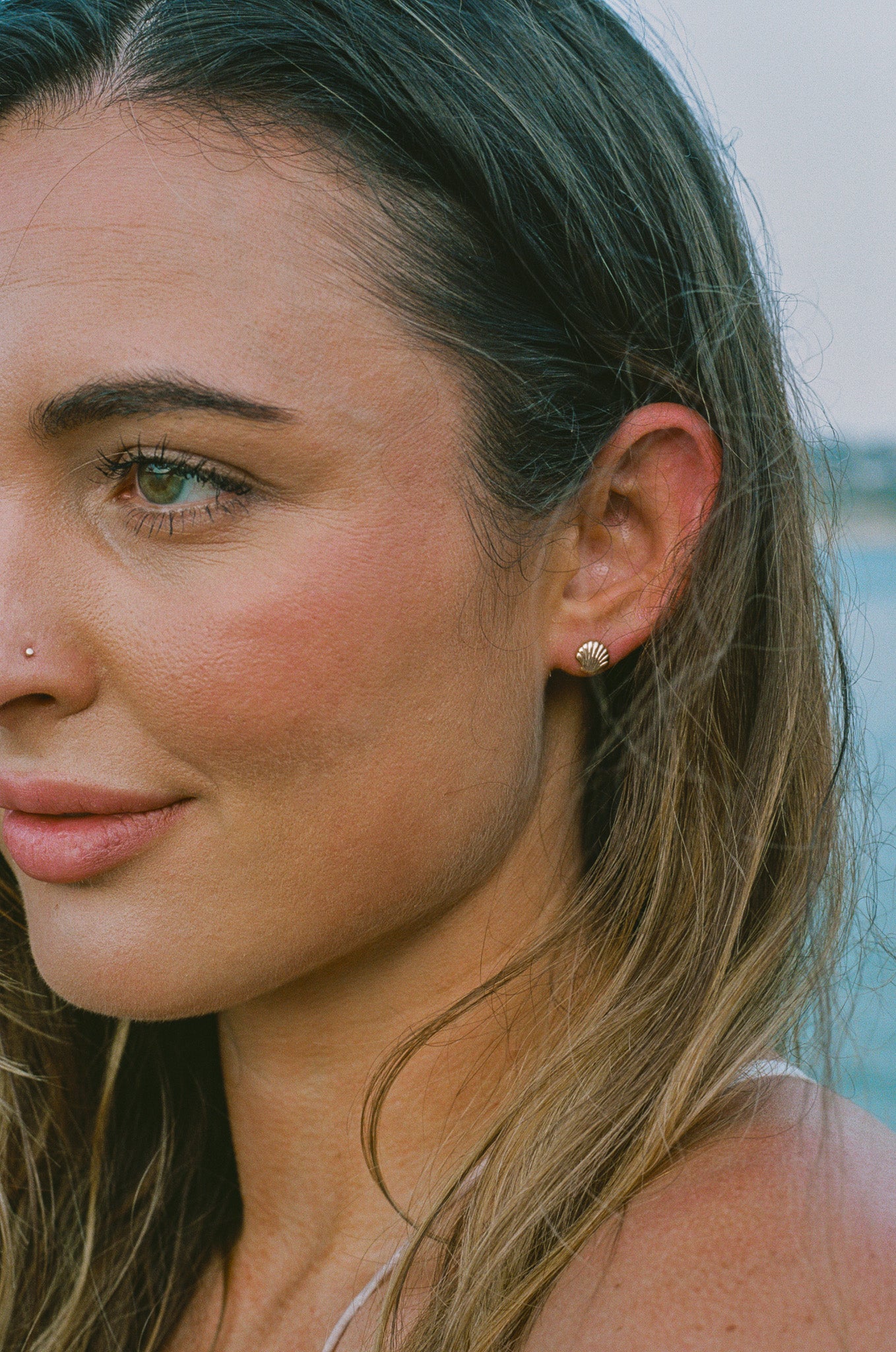 Seashell Stud Earrings