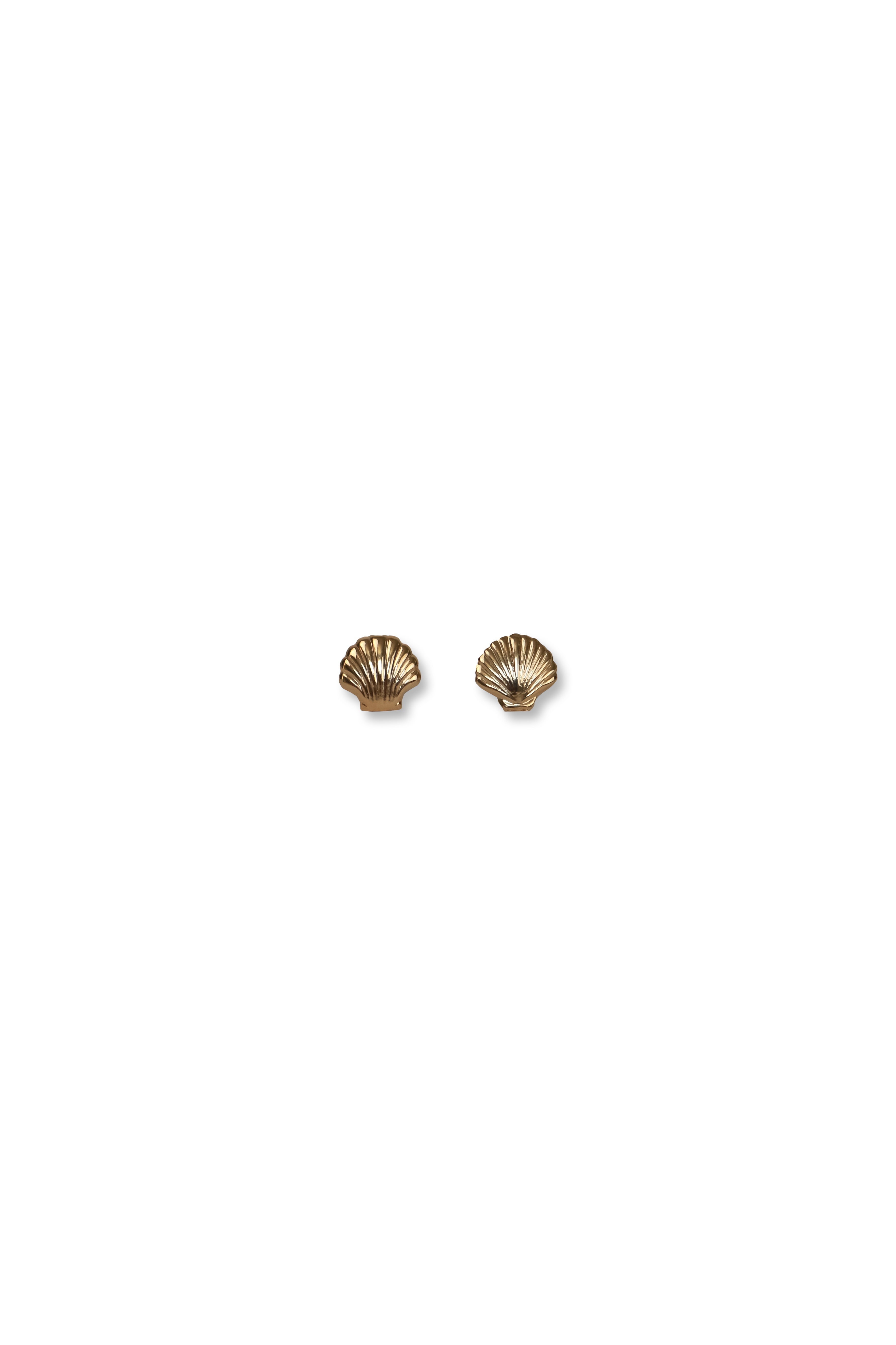 Seashell Stud Earrings